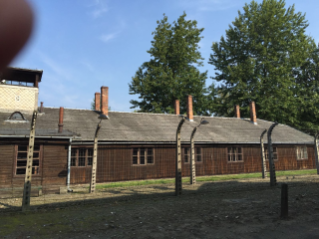 0-Voyage apostolique en Pologne : Visite &#xe0; Auschwitz