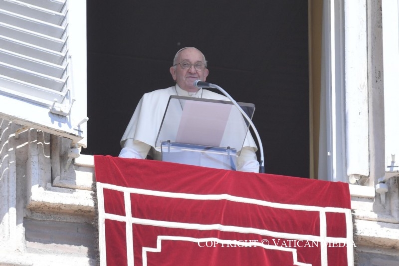 5500  discours, sermons ou homélies du Pape François - portail Cq5dam.web.800.800