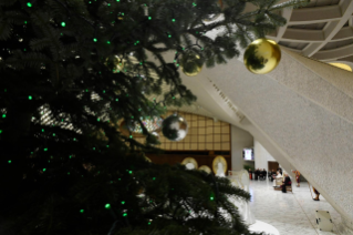 6-An die Delegationen der Gemeinden, die die Krippe und den Christbaum auf dem Petersplatz gespendet haben 