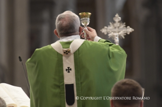 7-XXXIII Domingo do Tempo Comum – Santa Missa