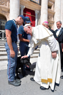 7-Catequesis para los operadores de misericordia