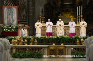 8-Célébration eucharistique en la fête de Notre-Dame de Guadalupe (12 décembre 2014)