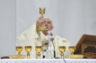 41-Celebrazione eucaristica presieduta dal Santo Padre Francesco ad Albano