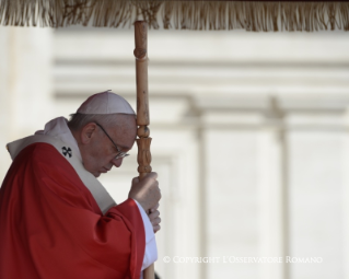 1-Celebration of Palm Sunday of the Passion of the Lord - Holy Mass