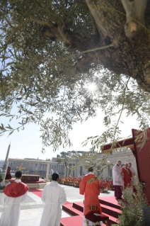 13-Domingo de Ramos en la Pasión del Señor