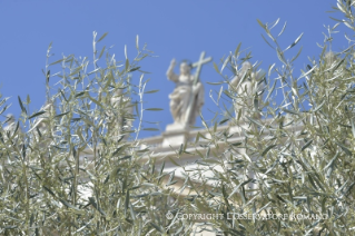 17-Domenica delle Palme e della Passione del Signore