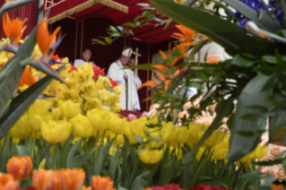 32-Domenica di Pasqua – Santa Messa del giorno
