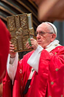 17-Santa Misa en la Solemnidad de Pentecostés