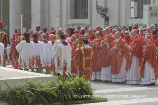12-Holy Mass on the Solemnity of Pentecost