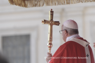 8-Holy Mass on the Solemnity of Pentecost