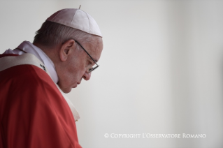 7-Santa Misa en la Solemnidad de Pentecostés