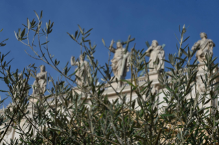 0-Domenica delle Palme: Passione del Signore – Commemorazione dell’ingresso del Signore in Gerusalemme e Santa Messa