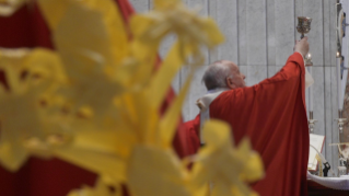 19-Palm Sunday: Passion of the Lord - Commemoration of the Lord's entrance into Jersualem and Holy Mass