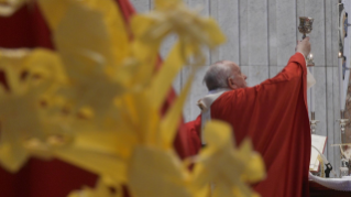 19-Palm Sunday: Passion of the Lord - Commemoration of the Lord's entrance into Jersualem and Holy Mass  