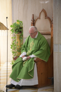 8-Meditazione quotidiana nella Cappella della Domus Sanctae Marthae: <i>Con mitezza e tenerezza</i>