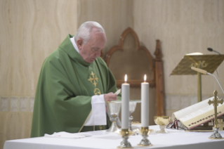 0-Misa matutina en la capilla de la Domus Sanctae Marthae: <i>La tibieza espiritual transforma nuestra vida en un cementerio</i>