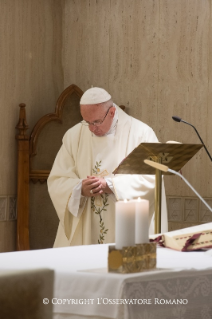 0-Daily Meditation in the Chapel of the Domus Sanctae Marthae: <i>Under her mantle</i>