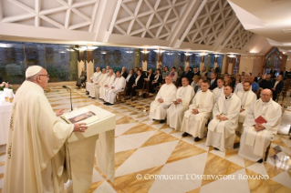 2-Daily Meditation in the Chapel of the Domus Sanctae Marthae: <i>Under her mantle</i>