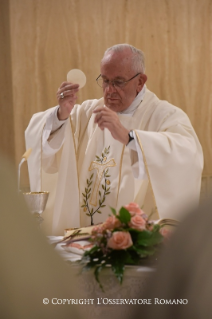 7-Daily Meditation in the Chapel of the Domus Sanctae Marthae: <i>Under her mantle</i>