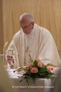 6-Daily Meditation in the Chapel of the Domus Sanctae Marthae: <i>Under her mantle</i>