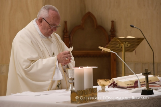 8-Daily Meditation in the Chapel of the Domus Sanctae Marthae: <i>Under her mantle</i>