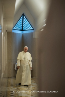 11-Daily Meditation in the Chapel of the Domus Sanctae Marthae: <i>Under her mantle</i>