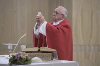 4-Meditazione quotidiana nella Cappella della Domus Sanctae Marthae: <i>Come il diavolo è stato vinto</i>