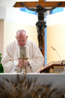 8-Celebrazione della Santa Messa nella Cappella della <i>Domus Sanctae Marthae</i>: "La nostra fedeltà è risposta alla fedeltà di Dio" 