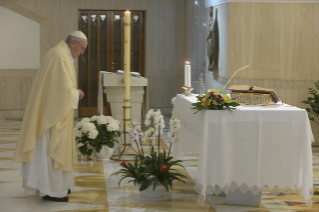0-Celebrazione della Santa Messa nella Cappella della <i>Domus Sanctae Marthae</i>: "Lasciar entrare in noi la luce di Dio  per non essere come pipistrelli nelle tenebre"