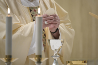 6-Celebrazione della Santa Messa nella Cappella della <i>Domus Sanctae Marthae</i>: "Lasciar entrare in noi la luce di Dio  per non essere come pipistrelli nelle tenebre"