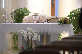 0-Holy Mass presided over by Pope Francis at the Casa Santa Marta in the Vatican: "Christ forms the hearts of pastors to be near the people of God"