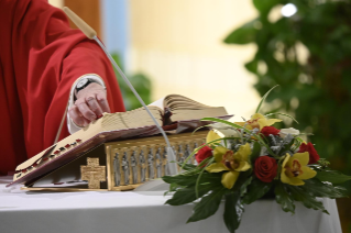 8-Celebrazione della Santa Messa nella Cappella della <i>Domus Sanctae Marthae</i>: "La fede va trasmessa, va offerta, soprattutto con la testimonianza"