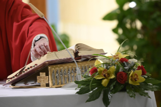 8-Holy Mass presided over by Pope Francis at the Casa Santa Marta in the Vatican: "The faith needs to be transmitted - offered - above all with witness"