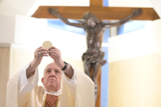 7-Holy Mass presided over by Pope Francis at the Casa Santa Marta in the Vatican: “Jesus is our pilgrim companion”