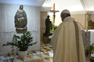 3-Celebrazione della Santa Messa nella Cappella della <i>Domus Sanctae Marthae</i>: "La mitezza e la tenerezza del Buon Pastore"