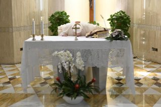 0-Misa celebrada por el papa Francisco de forma privada en la capilla de la Casa Santa Marta: <i>Actitudes que impiden conocer a Cristo</i>