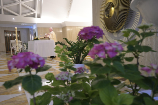 8-Santa Missa celebrada na capela da Casa Santa Marta: “Como dá a paz o mundo e como dá a paz o Senhor?”