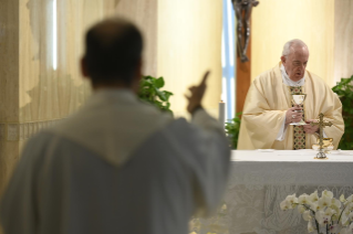 7-Holy Mass presided over by Pope Francis at the Casa Santa Marta in the Vatican: "The mutual remaining between the vine and the branches"