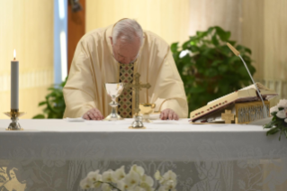 5-Holy Mass presided over by Pope Francis at the Casa Santa Marta in the Vatican: "The mutual remaining between the vine and the branches"