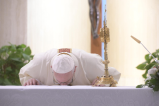13-Misa celebrada por el papa Francisco de forma privada en la capilla de la Casa Santa Marta: <i>Tener el valor de ver nuestras tinieblas  para que la luz del Señor entre y nos salve</i>