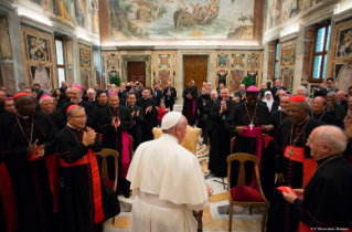 2-Udienza ai partecipanti alla Plenaria della Congregazione per l’Evangelizzazione dei Popoli