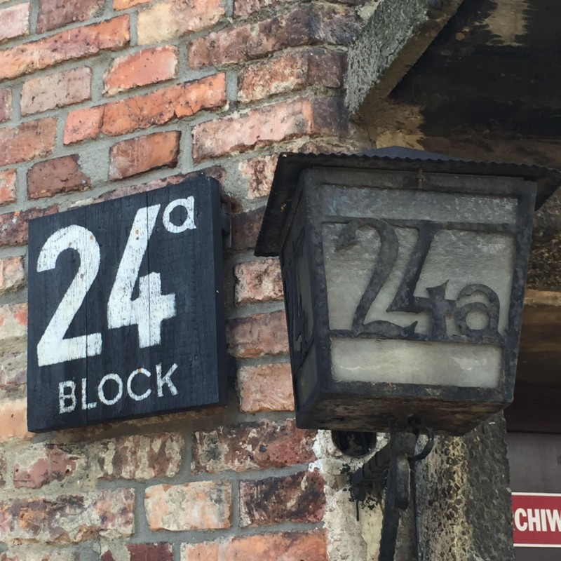 3-Voyage apostolique en Pologne : Visite &#xe0; Auschwitz