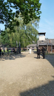 5-Viagem Apostólica à Polônia: Visita ao Campo de concentração de Auschwitz 