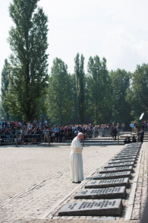 12-Voyage apostolique en Pologne : Visite au Camp de Birkenau