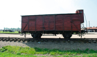 19-Viagem Apostólica à Polônia: Visita ao Campo de concentração de Birkenau 