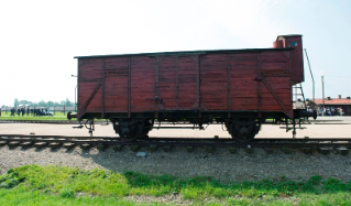 19-Voyage apostolique en Pologne : Visite au Camp de Birkenau