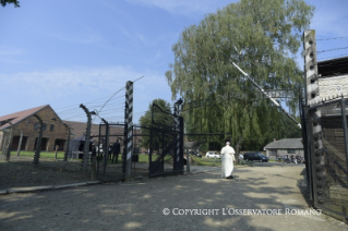 12-Voyage apostolique en Pologne : Visite &#xe0; Auschwitz