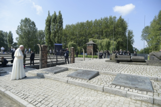 4-Apostolische Reise nach Polen: Besuch des Vernichtungslagers Birkenau