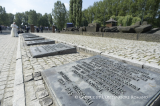 5-Voyage apostolique en Pologne : Visite au Camp de Birkenau