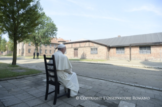 19-Voyage apostolique en Pologne : Visite &#xe0; Auschwitz